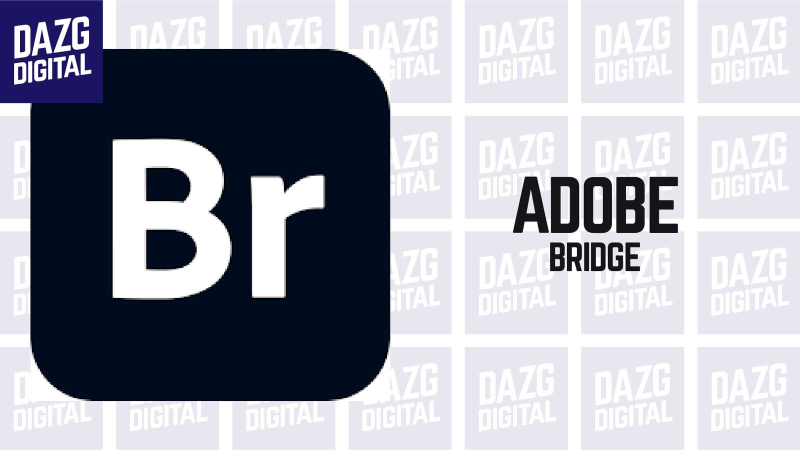 Adobe Bridge 2023 – 2024